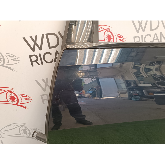 PORTA PORTIERA SPORTELLO POSTERIORE SINISTRA BMW X6 G06 F96 XDRIVE30D (2019\2023) 53910N349