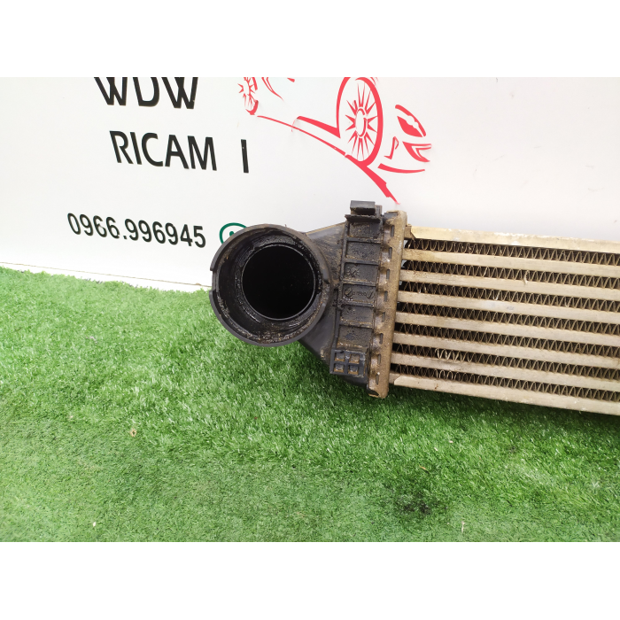 A1695000000 RADIATORE INTERCOOLER MERCEDES CLASSE A (W169) 2.0 (2004\2012) 2008