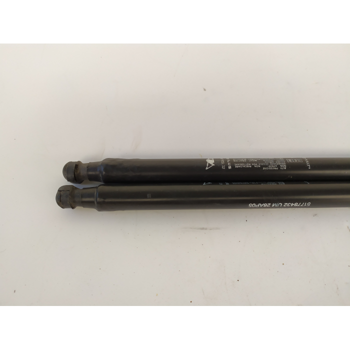 51778432 COPPIA AMMORTIZZATORI PORTELLONE POSTERIORE USATO FIAT GRANDE PUNTO (199) 1.3 90CV