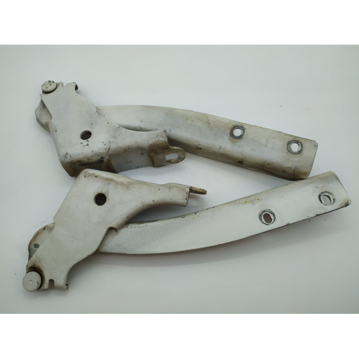 COPPIA CERNIERE ANTERIORE DESTRO \ SINISTRO FIAT GRANDE PUNTO (199) USATO ORIGINALE