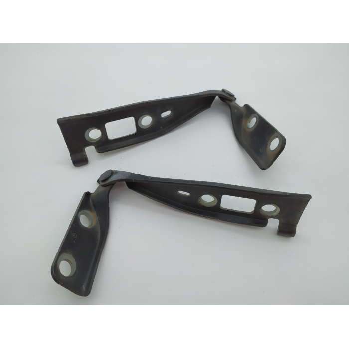 2S61-16800-BA COPPIA CERNIERE COFANO ANTERIORE DESTRO \ SINISTRO USATO FORD FIESTA 1.2 (2002\2008) 2005