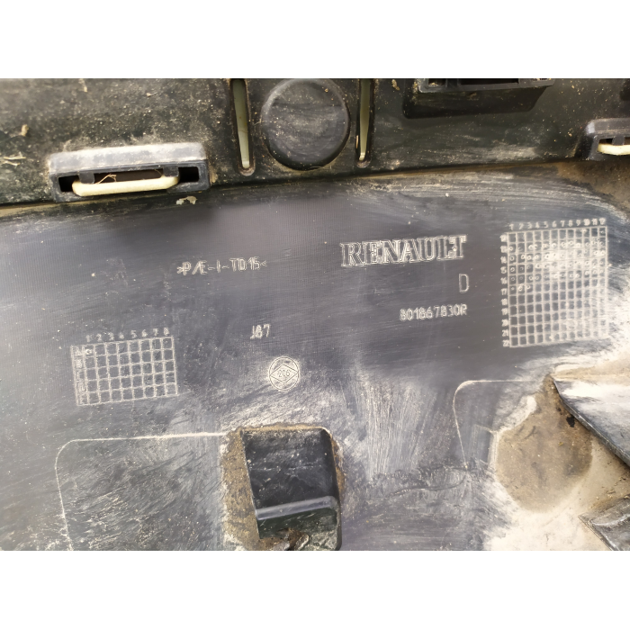 801867830R MODANATURA FASCIA PORTA ANTERIORE DESTRO DX USATO RENAULT CAPTUR (J5) (2013\2019)