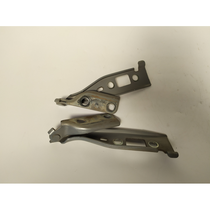 2S61-16800-BA COPPIA CERNIERE COFANO ANTERIORE DESTRO \ SINISTRO USATO FORD FIESTA 1.4 TDCI (2002/2008)
