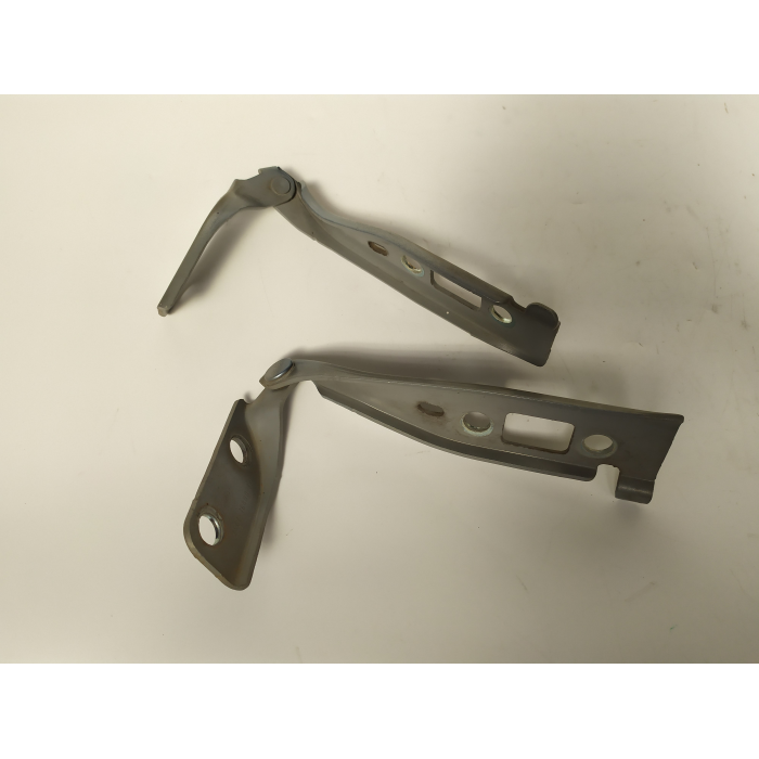 2S61-16800-BA COPPIA CERNIERE COFANO ANTERIORE DESTRO \ SINISTRO USATO FORD FIESTA 1.4 TDCI (2002/2008)