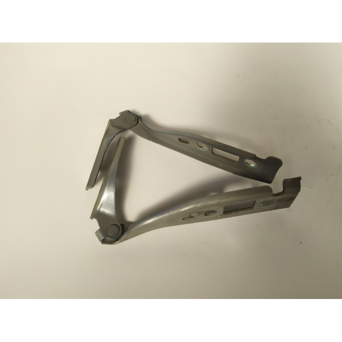 2S61-16800-BA COPPIA CERNIERE COFANO ANTERIORE DESTRO \ SINISTRO USATO FORD FIESTA 1.4 TDCI (2002/2008)