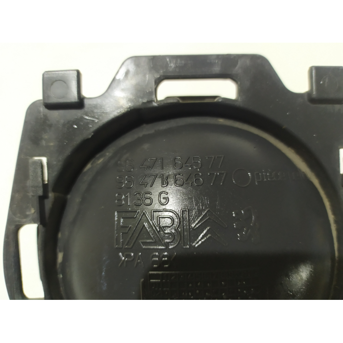 9647164577 MANIGLIA INTERNA PORTA ANTERIORE SINISTRO SX USATO CITROEN C2 1.4 HDI (2003\2009) 2004