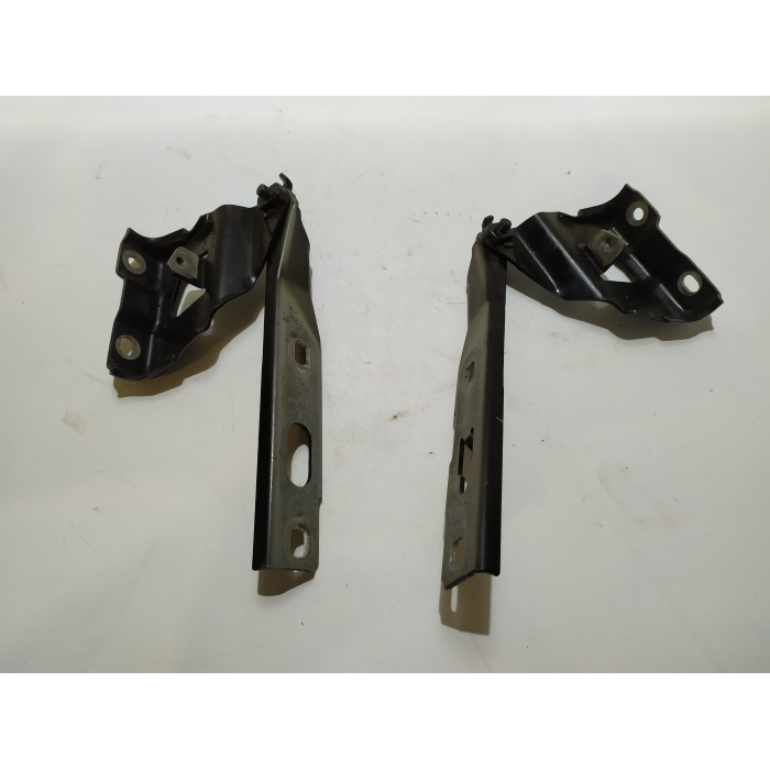 8K0823302D COPPIA CERNIERA CERNIERE COFANO ANTERIORE ANT USATO AUDI A4 (B8) ALLROAD (2007\2016)