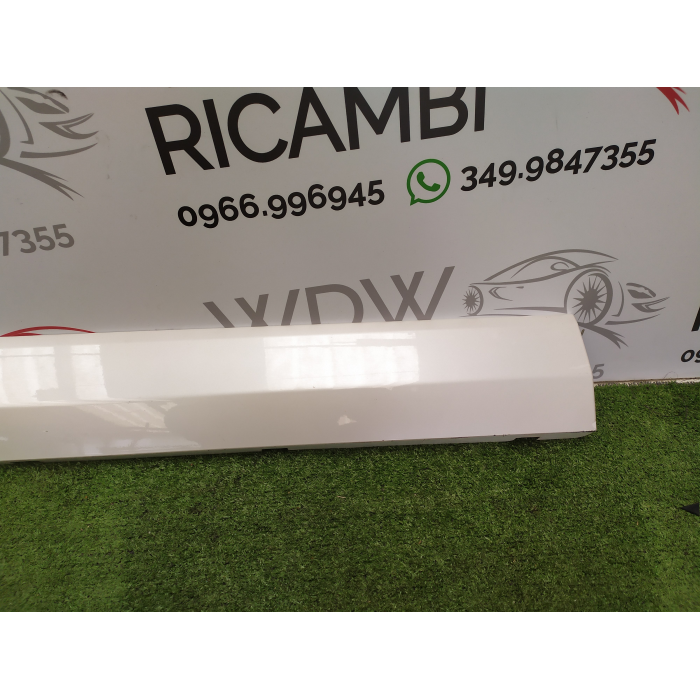 HN15-N20849-A MASCHERINA CORNICE PORTA ANTERIORE SINISTRO SX USATO FORD ECOSPORT 2° (DAL 2012 IN POI >)