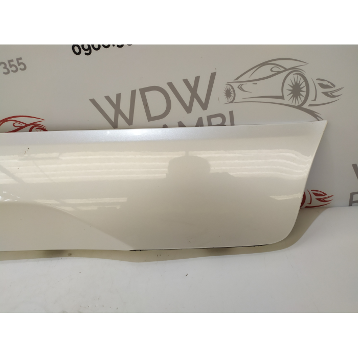 HN15-N254A77-A MASCHERINA CORNICE PORTA POSTERIORE SINISTRO SX USATO FORD ECOSPORT 2° (DAL 2012 IN POI >)