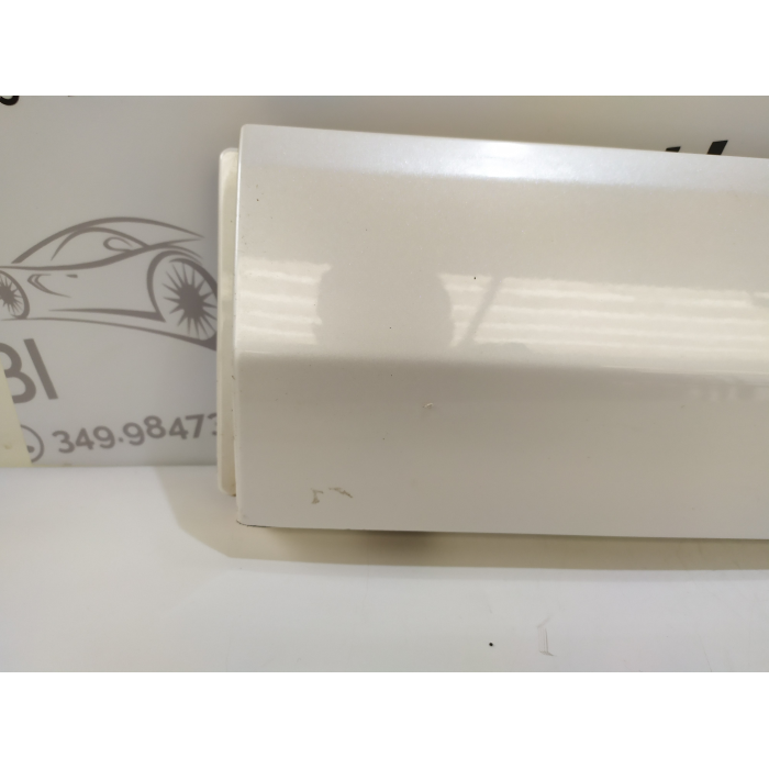 HN15-N254A77-A MASCHERINA CORNICE PORTA POSTERIORE SINISTRO SX USATO FORD ECOSPORT 2° (DAL 2012 IN POI >)
