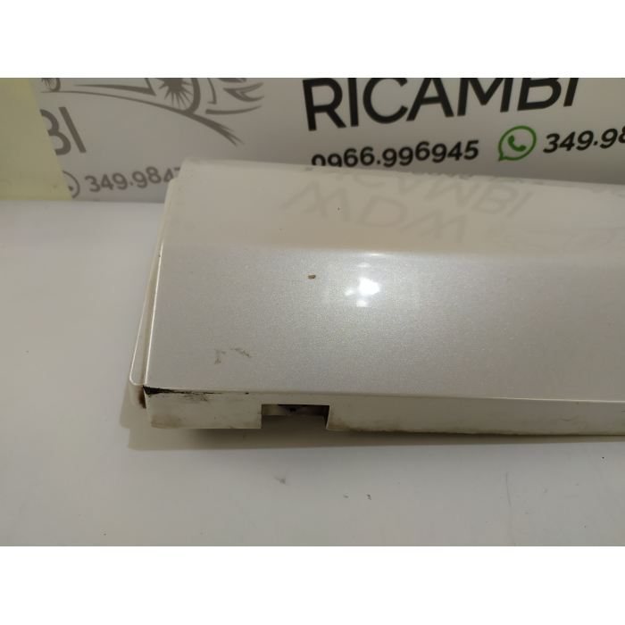 HN15-N254A77-A MASCHERINA CORNICE PORTA POSTERIORE SINISTRO SX USATO FORD ECOSPORT 2° (DAL 2012 IN POI >)