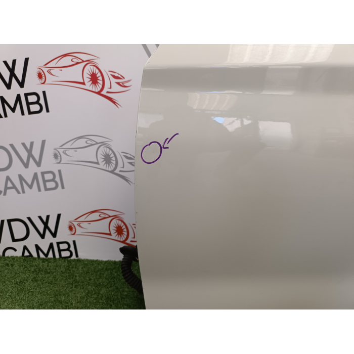 PORTA PORTIERA SPORTELLO ANTERIORE SINISTRO BMW SERIE 1 F20 (2015\2017) RESTYLING