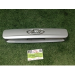873111C500 MODANATURA MANIGLIA PORTELLONE POST HYUNDAI GETZ (TB) 1 I SERIE