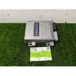 CENTRALINA ECU INIEZIONE GAS GPL MODULO DI CONTROLLO HYUNDAI COUPE 1 SERIE