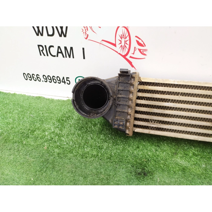 A1695000000 RADIATORE INTERCOOLER MERCEDES CLASSE A (W169) 2.0 (2004\2012) 2008
