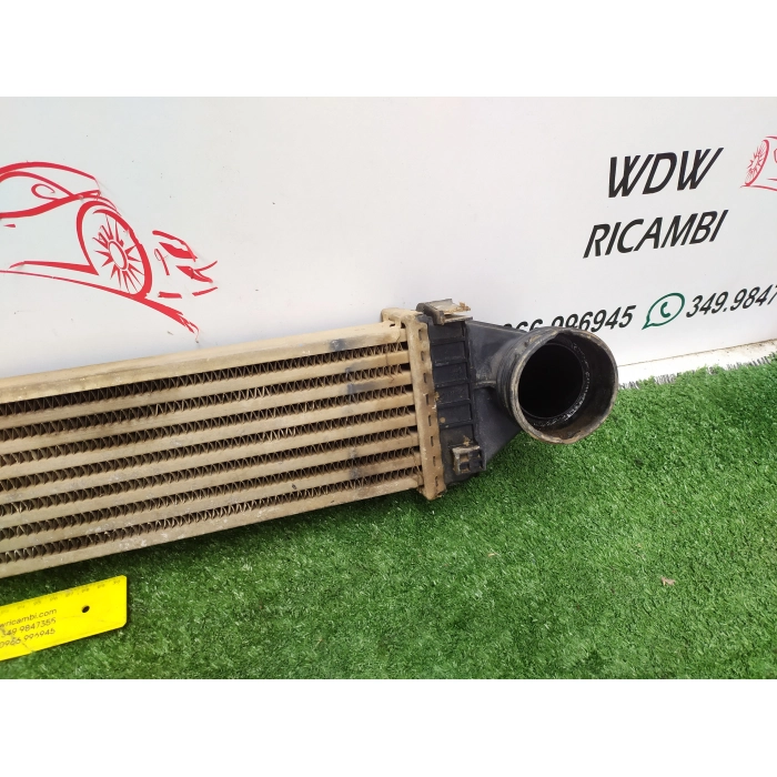 A1695000000 RADIATORE INTERCOOLER MERCEDES CLASSE A (W169) 2.0 (2004\2012) 2008