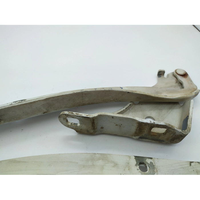 COPPIA CERNIERE ANTERIORE DESTRO \ SINISTRO FIAT GRANDE PUNTO (199) USATO ORIGINALE