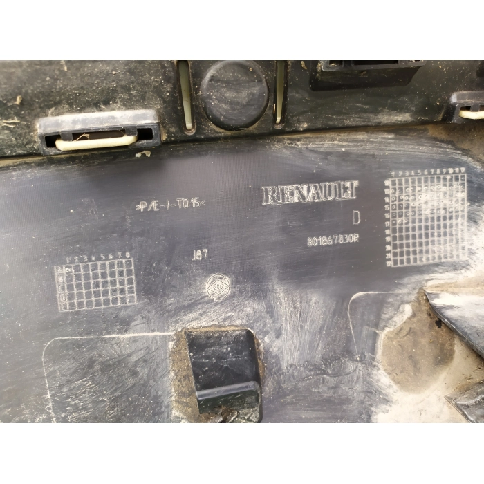 801867830R MODANATURA FASCIA PORTA ANTERIORE DESTRO DX USATO RENAULT CAPTUR (J5) (2013\2019)