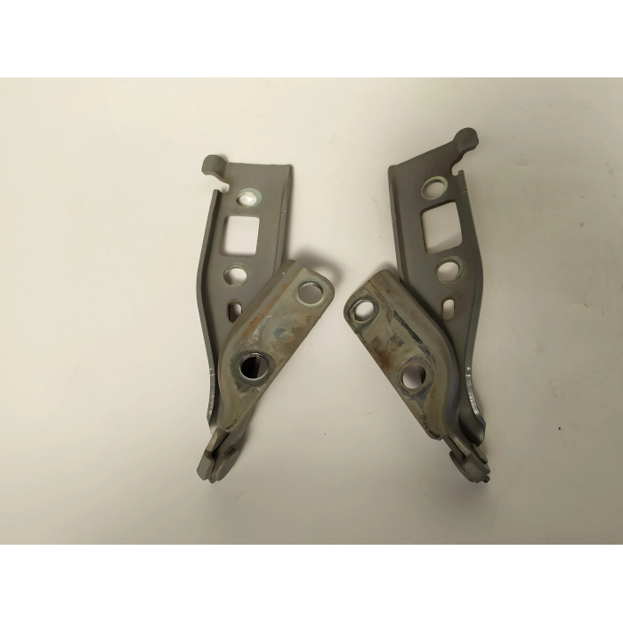 2S61-16800-BA COPPIA CERNIERE COFANO ANTERIORE DESTRO \ SINISTRO USATO FORD FIESTA 1.4 TDCI (2002/2008)