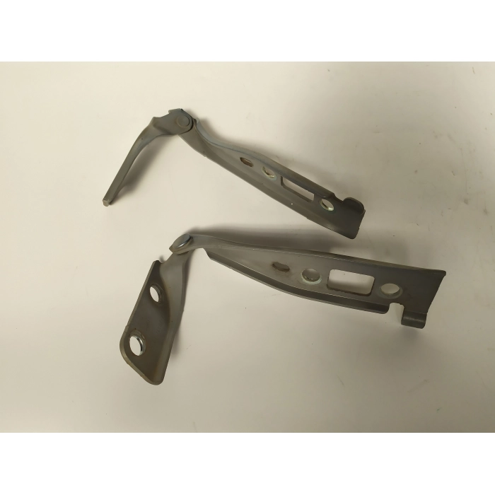 2S61-16800-BA COPPIA CERNIERE COFANO ANTERIORE DESTRO \ SINISTRO USATO FORD FIESTA 1.4 TDCI (2002/2008)