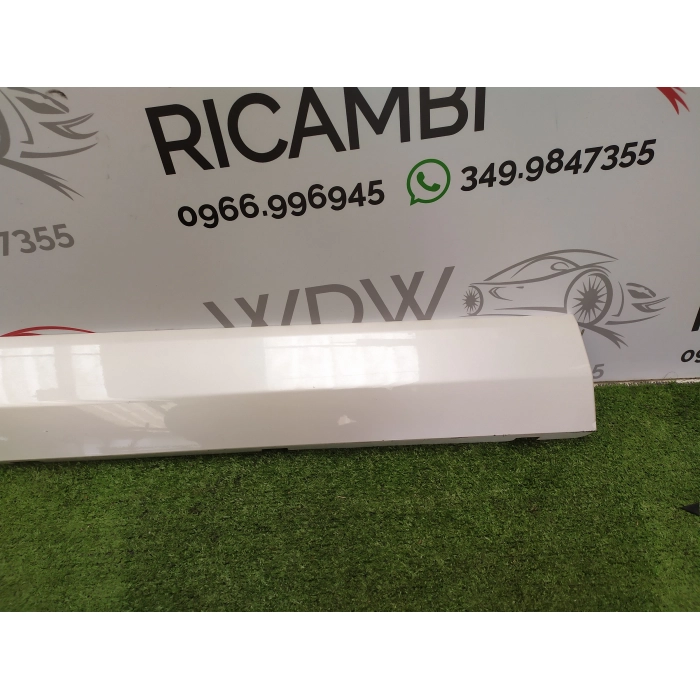HN15-N20849-A MASCHERINA CORNICE PORTA ANTERIORE SINISTRO SX USATO FORD ECOSPORT 2° (DAL 2012 IN POI >)