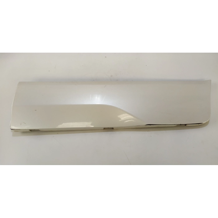 HN15-N254A77-A MASCHERINA CORNICE PORTA POSTERIORE SINISTRO SX USATO FORD ECOSPORT 2° (DAL 2012 IN POI >)