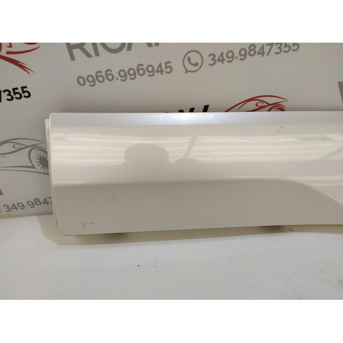 HN15-N254A77-A MASCHERINA CORNICE PORTA POSTERIORE SINISTRO SX USATO FORD ECOSPORT 2° (DAL 2012 IN POI >)