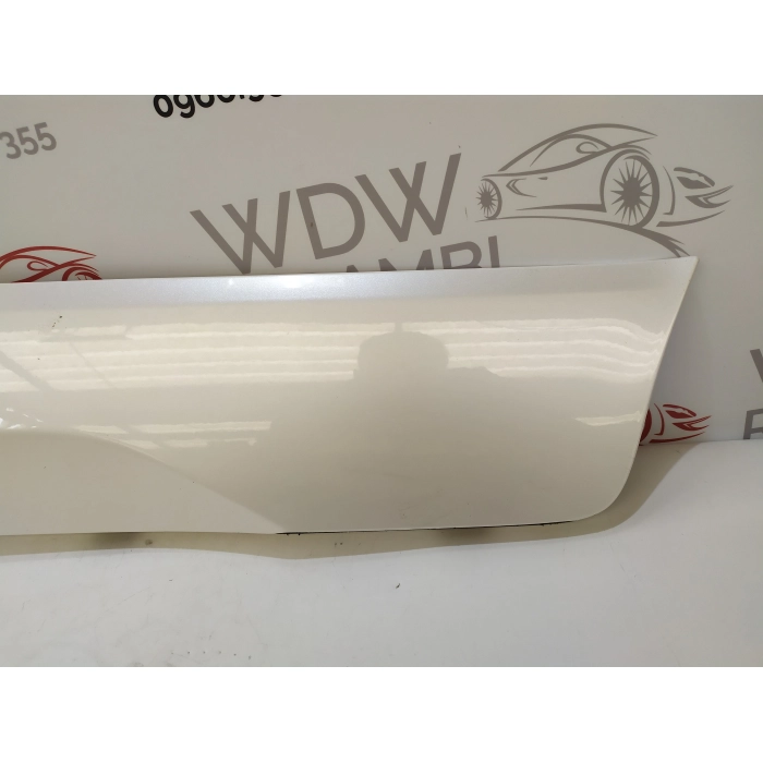 HN15-N254A77-A MASCHERINA CORNICE PORTA POSTERIORE SINISTRO SX USATO FORD ECOSPORT 2° (DAL 2012 IN POI >)